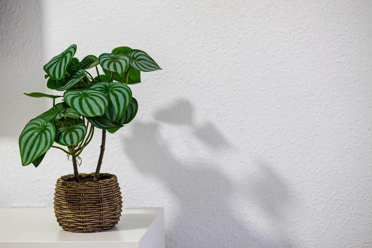 Apartamento Heroes De Sostoa Málaga Eksteriør bilde
